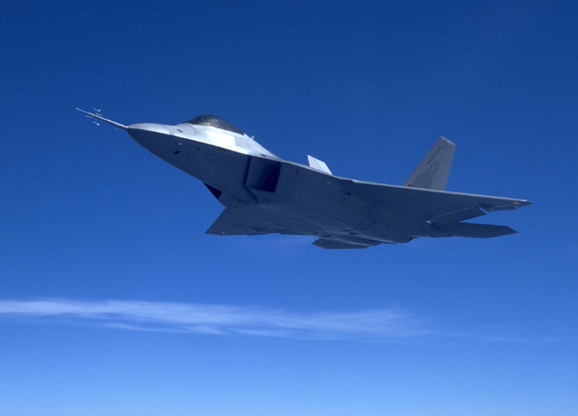 Raptor in flight