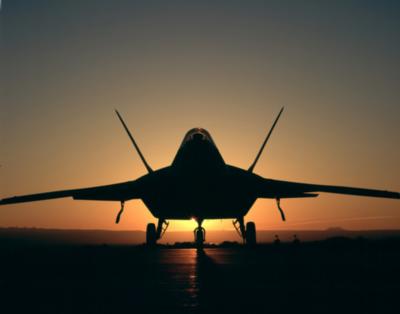 Raptor at dusk