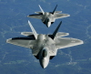 Raptors aloft